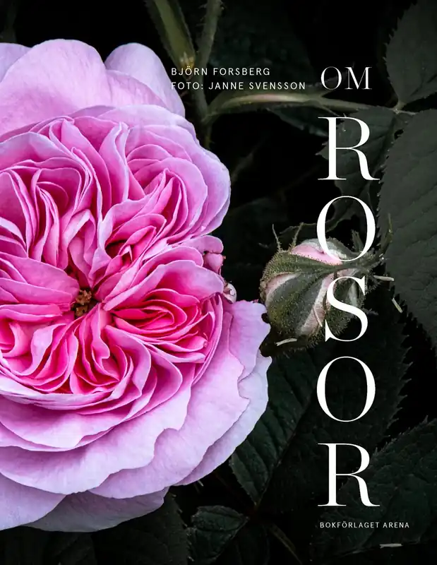 Om rosor - Extra rabatt