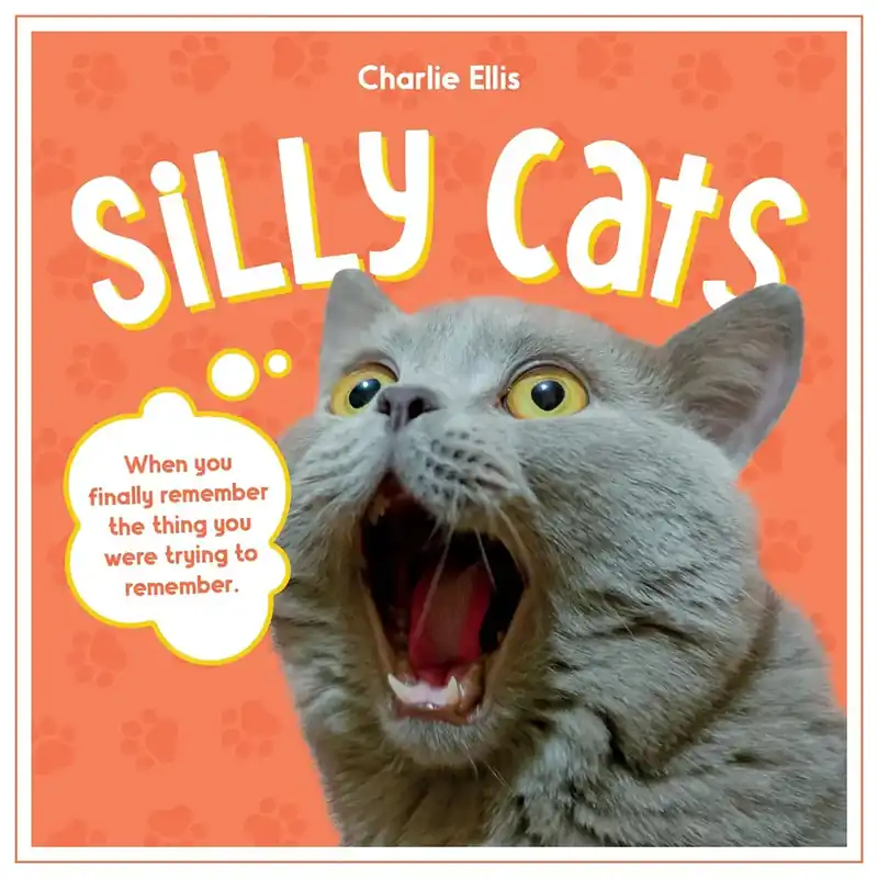 Passa på - Silly Cats