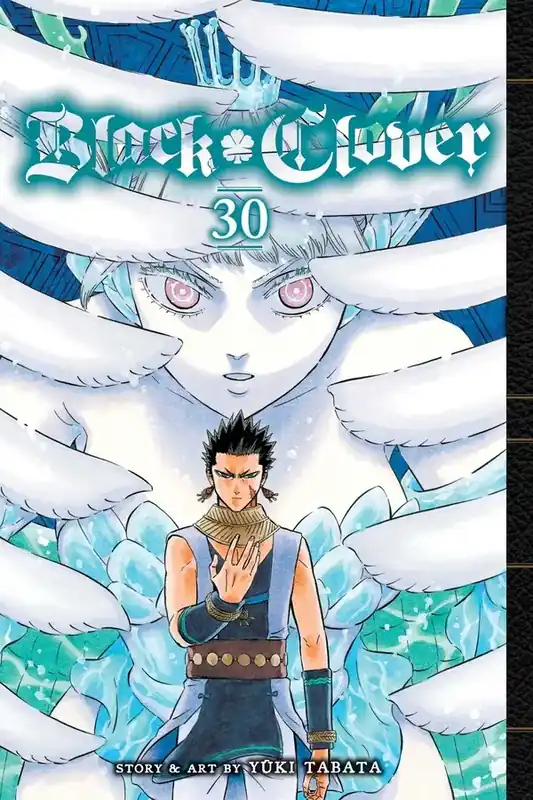 Black Clover Vol 30 | Bästa pris