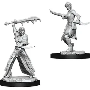 Human Female Rogue - Bästa pris