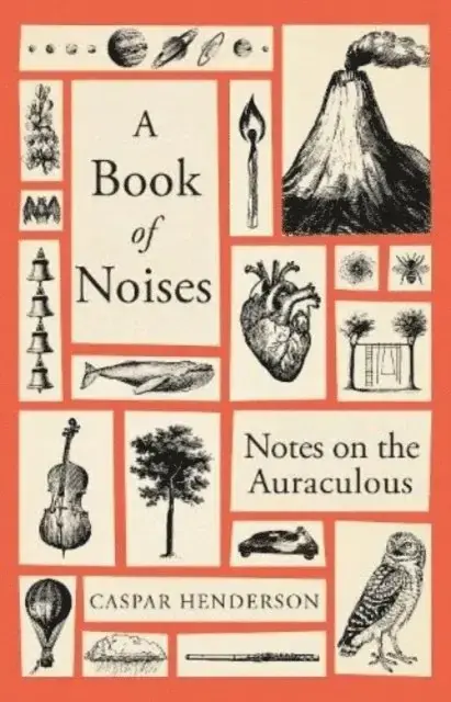 Finns nu - Book of Noises