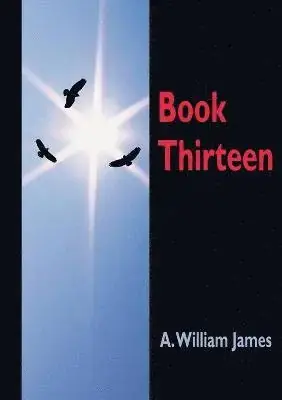 Book Thirteen | Bra pris