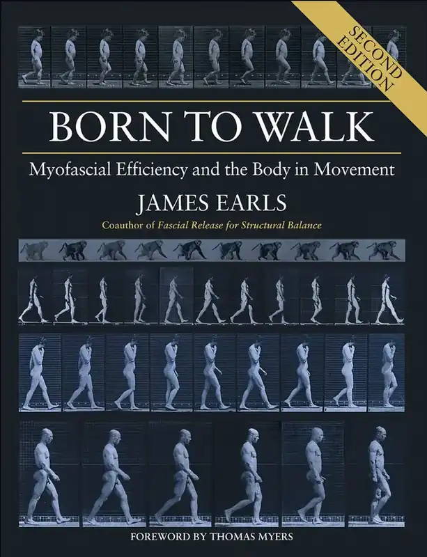 Born to Walk | Skaffa nu