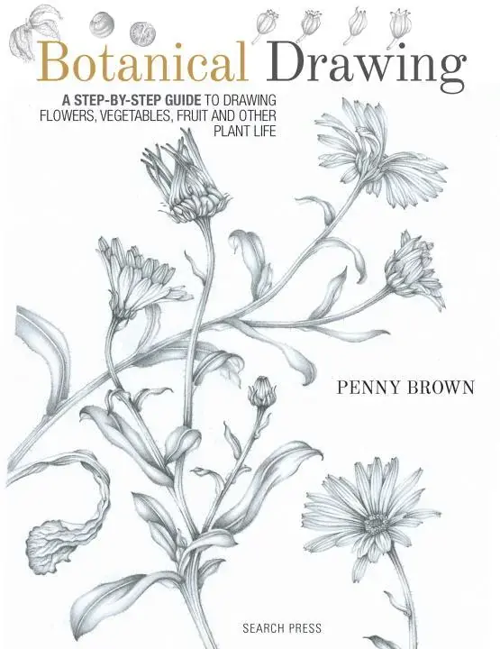 Botanical Drawing | Ny produkt