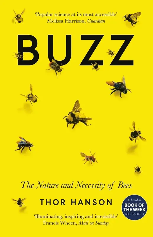 Buzz | Bästa pris