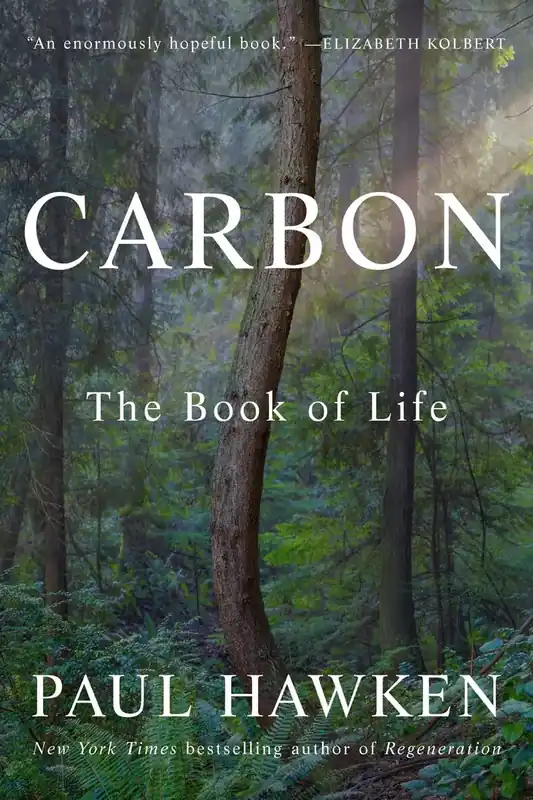 Carbon | Extra bra pris