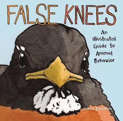 Superpris - False Knees