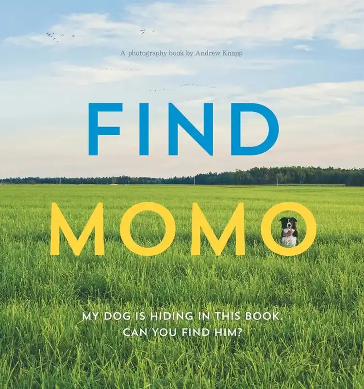 Enkel retur - Find Momo