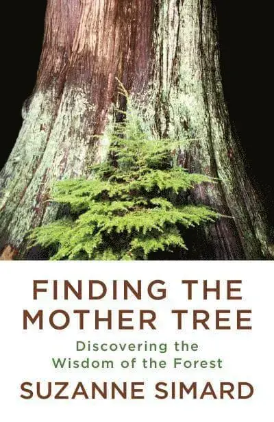 Favorit hos kunderna - Finding the Mother Tree