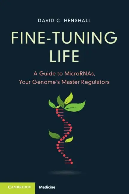 Fine-Tuning Life - Reapris