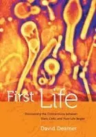 First Life - Fabrikspris