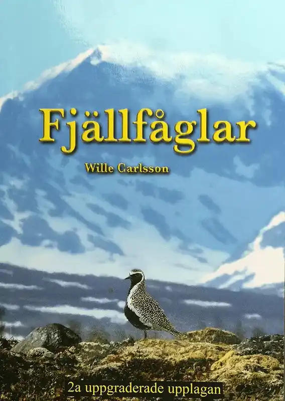 Fjällfåglar - Bästa pris