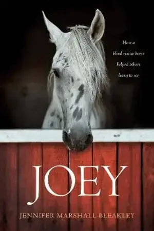 Joey | Professionell kvalitet