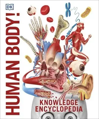 Kundernas favorit | Knowledge Encyclopedia Human Body!