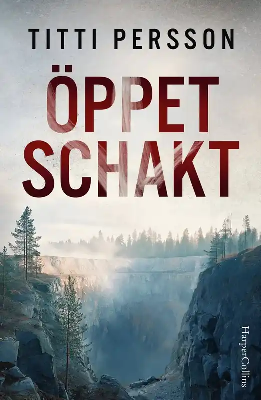 Sänkt pris - Öppet schakt