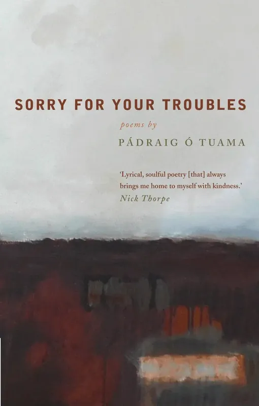 Sorry For Your Troubles | Nedsatt pris